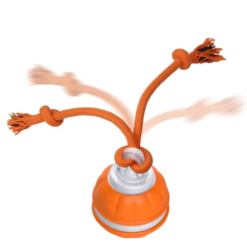 Interactive rolling dog toy with rope arms