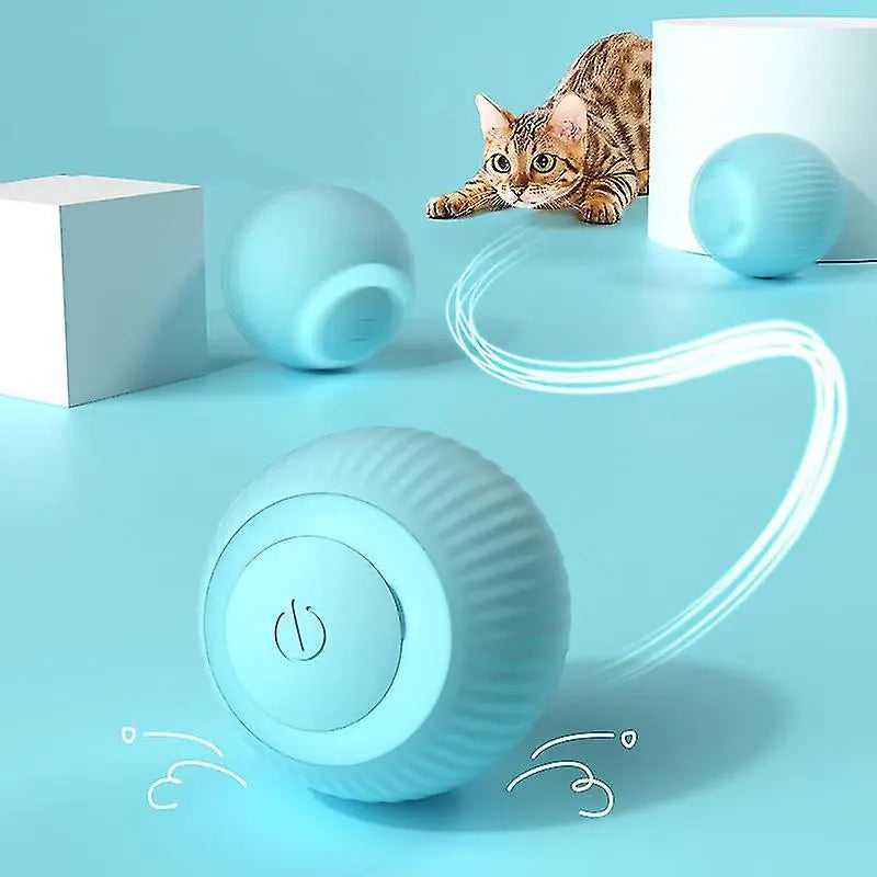 Indoor smart ball toy for dogs