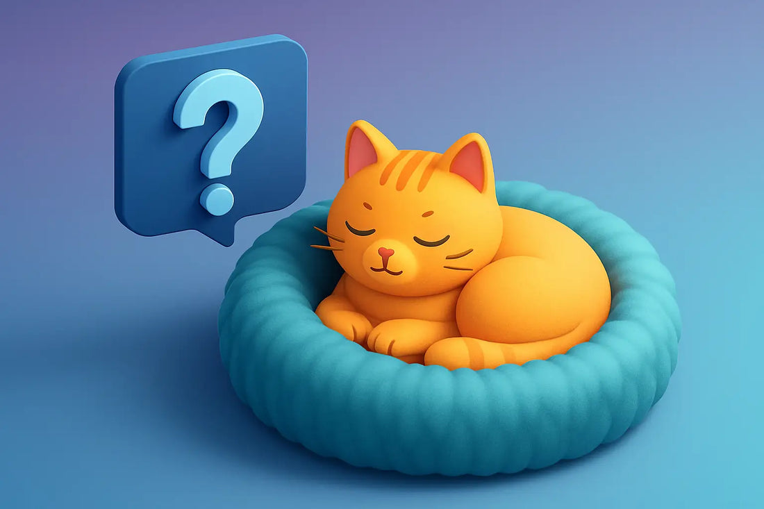 Do Calming Cat Beds Really Help Anxiety?