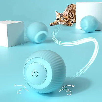 Indoor smart ball toy for dogs