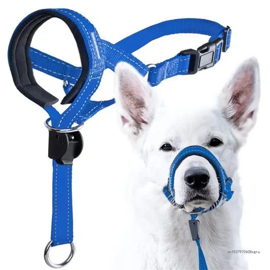 Dog head halter for leash training