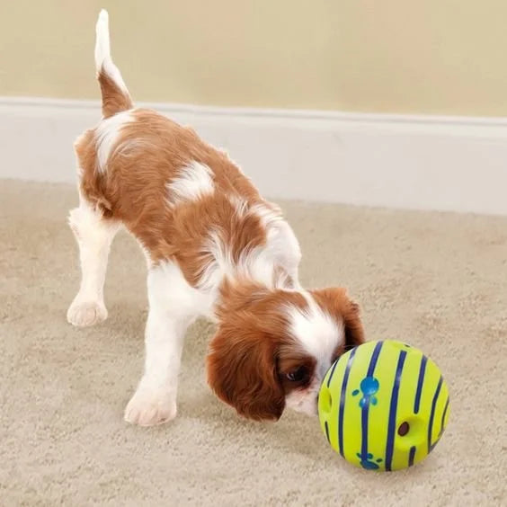 Wobble rolling ball for dogs
