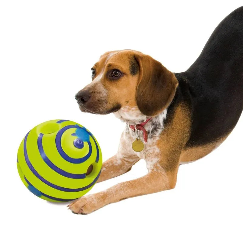 Active dog chasing interactive toy