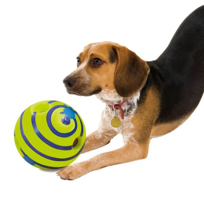 Active dog chasing interactive toy