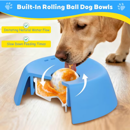 Mess free pet feeding bowl