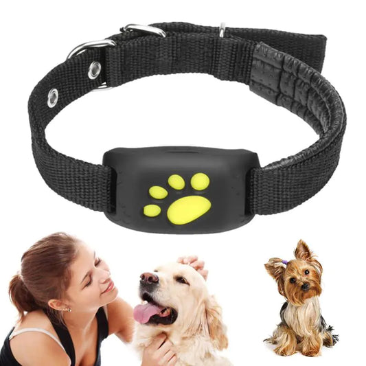 Real time dog GPS tracker collar