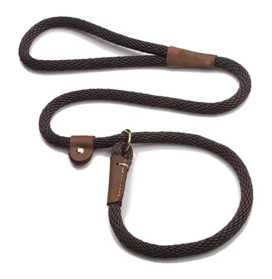 Adjustable slip lead dog leash