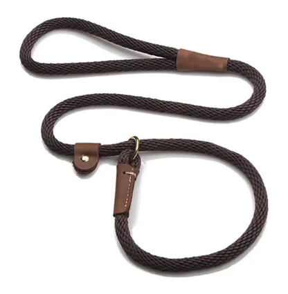 Adjustable slip lead dog leash