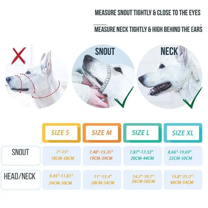 Leash training collar for dogs