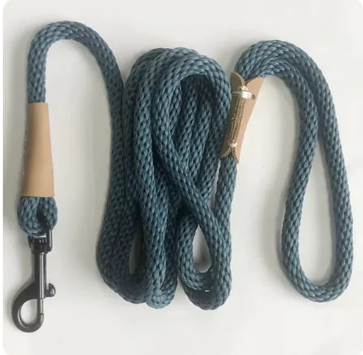 Dog wearing adjustable slip lead