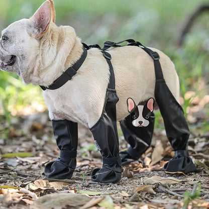 Dog wearing anti slip boots outdoors