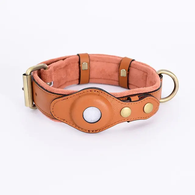 Dog wearing AirTag tracking collar